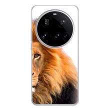 Чехлы с картинками животных Xiaomi POCO F7 Pro (Лев грива)