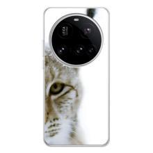 Чехлы с картинками животных Xiaomi POCO F7 Pro (Рысь)