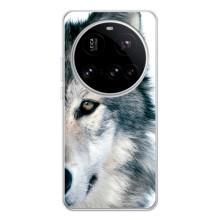 Чехлы с картинками животных Xiaomi POCO F7 Pro (Волк)