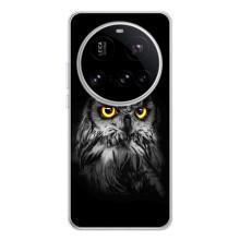 Чехлы с принтом СОВЫ для Xiaomi POCO F7 Pro – Сова на чёрном