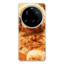 Чехлы с собаками для Xiaomi POCO F7 Pro (VPrint)