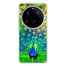Чехол с птицами на Xiaomi POCO F7 Pro (VPrint) (Яркий Павлин)