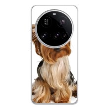 Чохол (ТПУ) Милі песики для Xiaomi POCO F7 Pro (Пес Терьєр)