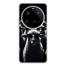 Чехол с принтом стильные животные для Поко Ф7 Про (Овечка в очках)