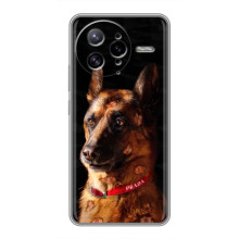 Чехлы с картинками животных Xiaomi POCO F7 Ultra (Овчарка)