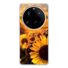 Чехол с Цветами для Xiaomi POCO F7 Ultra (поле подсолнухов)