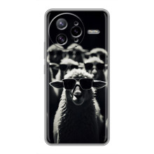 Чехол с принтом стильные животные для Поко Ф7 Ультра (Овечка в очках)