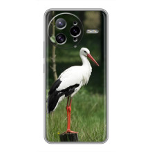 Силиконовый чехол с птичкой на Xiaomi POCO F7 Ultra