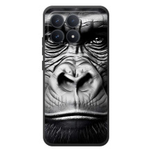 Чохли з Горилою на قيقة Міаоі Поко F8 Про – Чорна мавпа