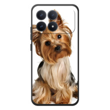 Чехол (ТПУ) Милые собачки для Xiaomi Poco F8 Pro (Собака Терьер)