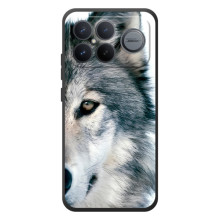 Чехлы с картинками животных Xiaomi Poco F8 Ultra – Волк