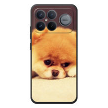 Чохол (ТПУ) Милі песики для Xiaomi Poco F8 Ultra – Померанский шпіц