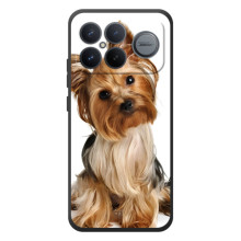 Чохол (ТПУ) Милі песики для Xiaomi Poco F8 Ultra – Пес Терьєр