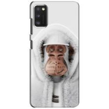 Чохли з Мавпами NFT для Xiaomi POCO M3 Pro (4G/5G) (AlphaPrint)