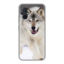 Чехол с Волком на Xiaomi POCO M5 – Волк на снегу