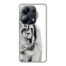 Чохли з картинкою животних Xiaomi POCO M6 Pro (Білий Тигр)