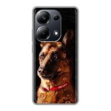 Чохли з картинкою животних Xiaomi POCO M6 Pro (Овчарка)