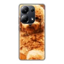 Чохли з собаками для Xiaomi POCO M6 Pro (VPrint)