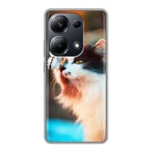 Чохол на Поко М6 Про з Котиками (VPrint) (Котик з метеликом)