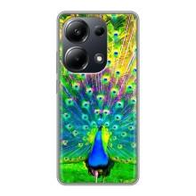 Чохол з пташками на Xiaomi POCO M6 Pro (VPrint)