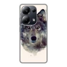 Чохол з Вовком на Xiaomi POCO M6 Pro – Вовк