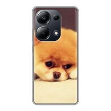 Чехол (ТПУ) Милые собачки для Xiaomi POCO M6 Pro – Померанский шпиц