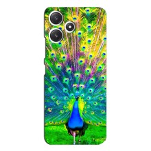 Чохол з пташками на Xiaomi POCO M6 (VPrint) (Яскравий Павлин)