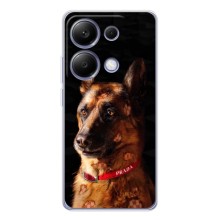 Чехлы с картинками животных Xiaomi Poco M7 Pro 5G (Овчарка)