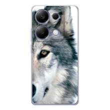 Чехлы с картинками животных Xiaomi Poco M7 Pro 5G (Волк)