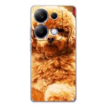 Чехлы с собаками для Xiaomi Poco M7 Pro 5G (VPrint) (Щенок Бишон)