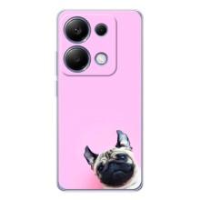 Чехлы с собаками для Xiaomi Poco M7 Pro 5G (VPrint) (Смешная собака)