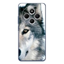 Чехлы с картинками животных Xiaomi POCO M7 (Волк)