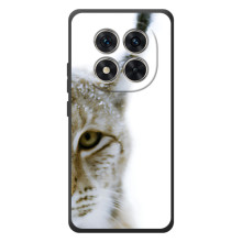 Чехлы с картинками животных Xiaomi Poco M8 Pro (Рысь)