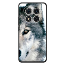 Чехлы с картинками животных Xiaomi Poco M8 Pro (Волк)