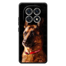 Чехлы с картинками животных Xiaomi Poco M8 (Овчарка)