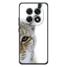 Чехлы с картинками животных Xiaomi Poco M8 (Рысь)