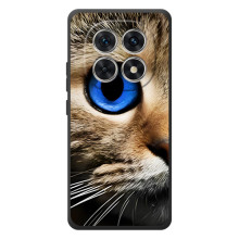 Чехлы с Котиками для Xiaomi Poco M8 (VPrint)