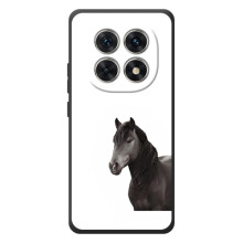 Чехлы с Лошадью дляXiaomi Poco M8 (VPrint) (Черный Конь)