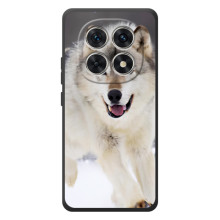 Чехол с Волком на Xiaomi Poco M8 (Волк на снегу)