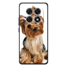 Чохол (ТПУ) Милі песики для Xiaomi Poco M8 (Пес Терьєр)