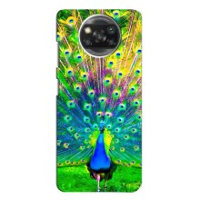 Чехол с птицами на Xiaomi POCO X3 Pro (VPrint) (Яркий Павлин)