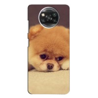 Чехол (ТПУ) Милые собачки для Xiaomi Poco X3 Pro (Померанский шпиц)