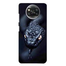 Чохол з картинкою 'Хижаки' для Xiaomi POCO X3 Pro (Змія)