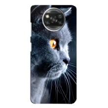 Чехлы с Котиками для Xiaomi POCO X3 (VPrint) (Серый Кот)