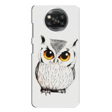 Чехол с птицами на Xiaomi POCO X3 (VPrint)