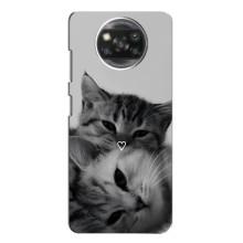 Чехол с рисунком кот на Xiaomi POCO X3 – Пара котов