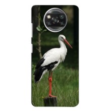 Силіконовий бампер з птичкою на Xiaomi Poco X3 – Лелека