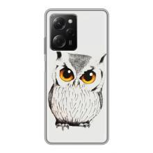 Чохол з пташками на Xiaomi POCO X5 Pro (5G) (VPrint) (Мила Сова)