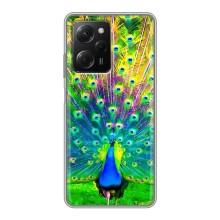 Чохол з пташками на Xiaomi POCO X5 Pro (5G) (VPrint) (Яскравий Павлин)