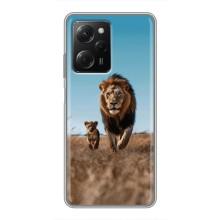Чехол Король лев на Поко Х5 Про (Мусафа и Симба)